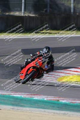 media/Mar-17-2024-Fastrack Riders (Sun) [[c7d6f8c14c]]/Level 2/Turn 6/